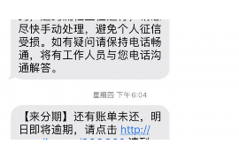 福安福安的要账公司在催收过程中的策略和技巧有哪些？